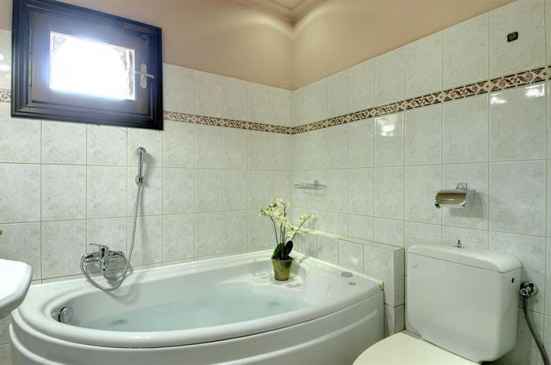 Iatrou Guesthouse Portaria  Phòng bức ảnh