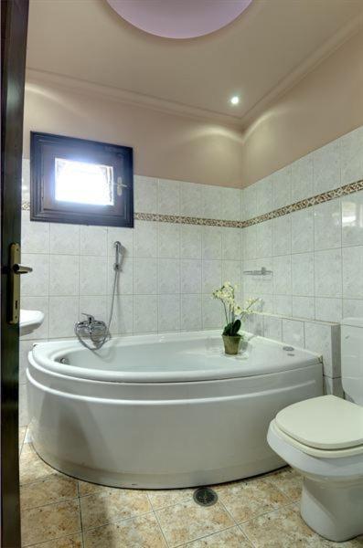 Iatrou Guesthouse Portaria  Phòng bức ảnh