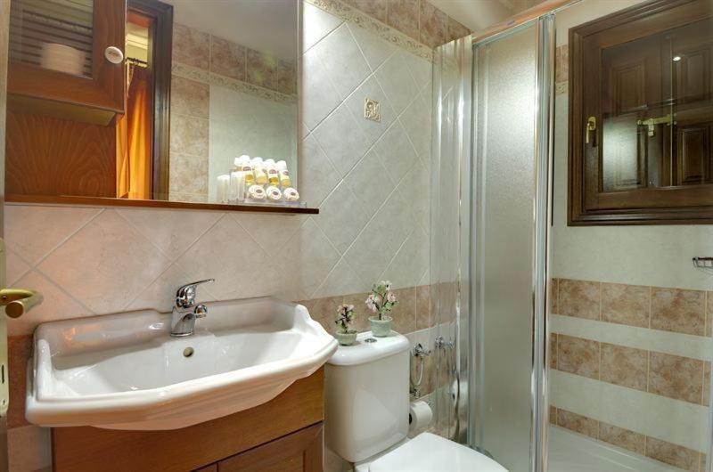 Iatrou Guesthouse Portaria  Phòng bức ảnh